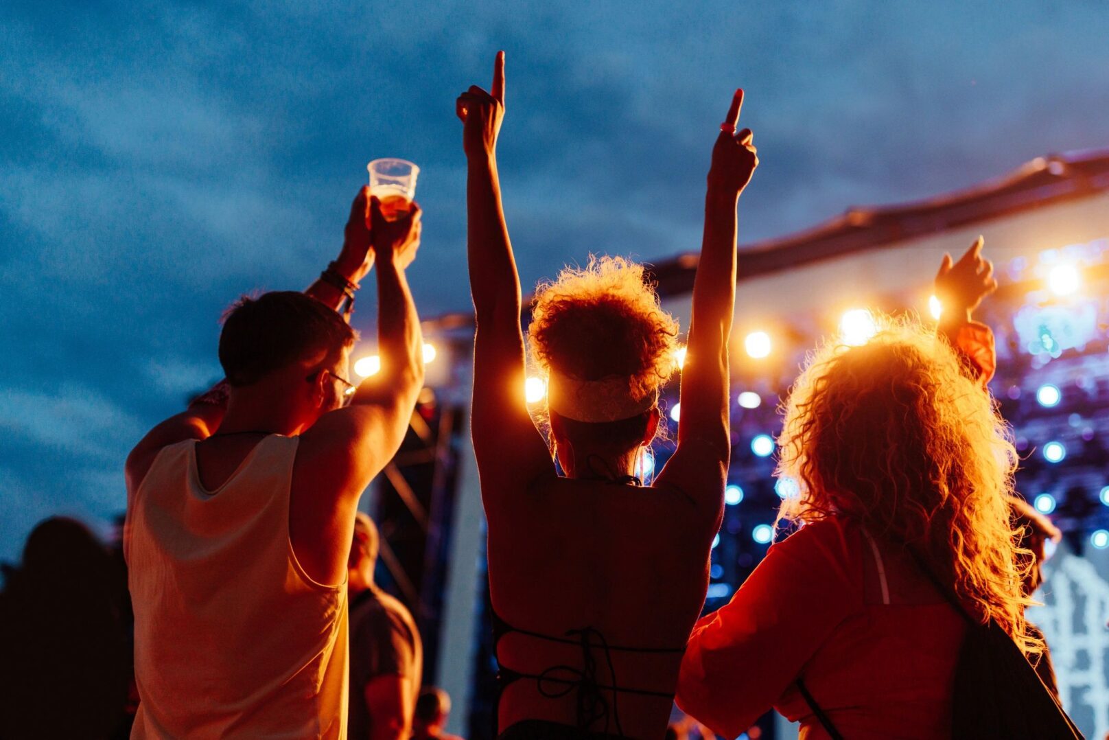 music fans at concert